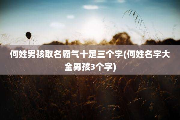 何姓男孩取名霸气十足三个字(何姓名字大全男孩3个字)