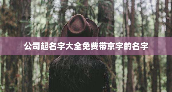 公司起名字大全免费带京字的名字