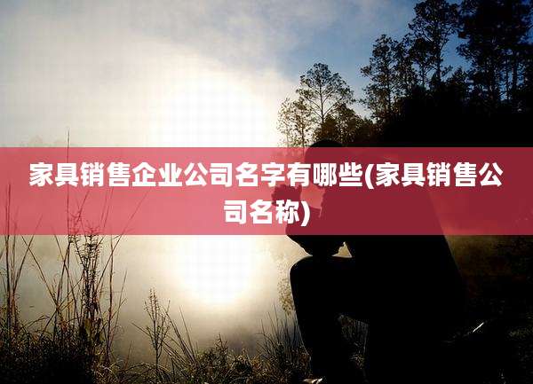 家具销售企业公司名字有哪些(家具销售公司名称)