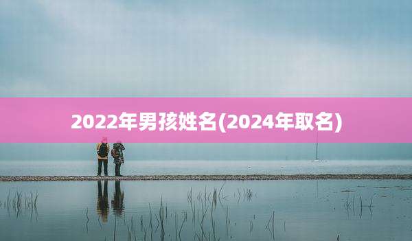 2022年男孩姓名(2024年取名)