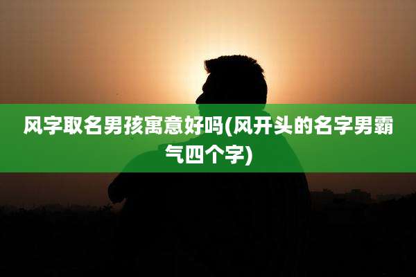 风字取名男孩寓意好吗(风开头的名字男霸气四个字)