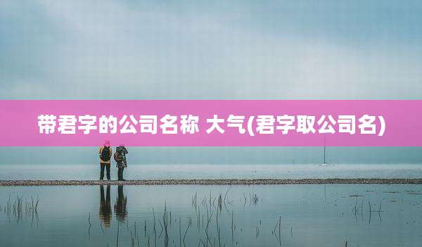 带君字的公司名称 大气(君字取公司名)