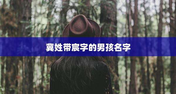 冀姓带宸字的男孩名字