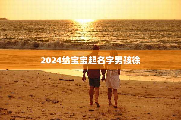 2024给宝宝起名字男孩徐
