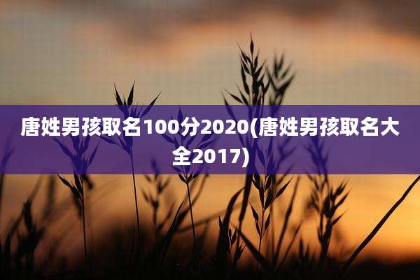 唐姓男孩取名100分2020(唐姓男孩取名大全2017)