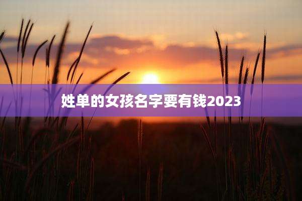姓单的女孩名字要有钱2023