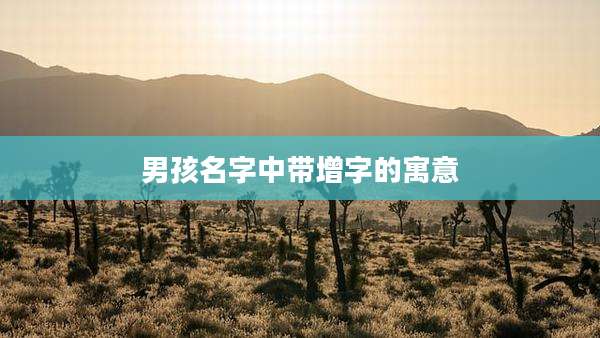 男孩名字中带增字的寓意