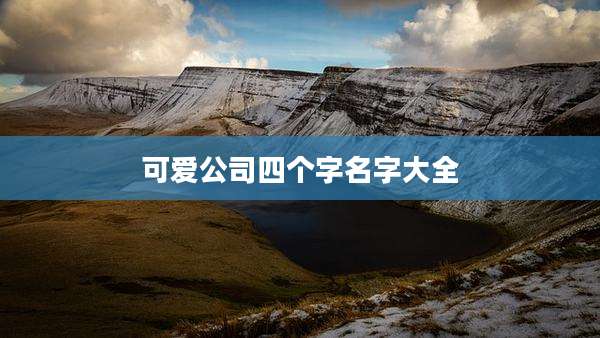 可爱公司四个字名字大全