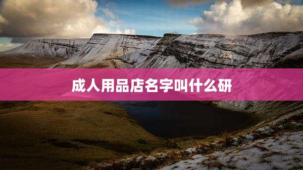 成人用品店名字叫什么研