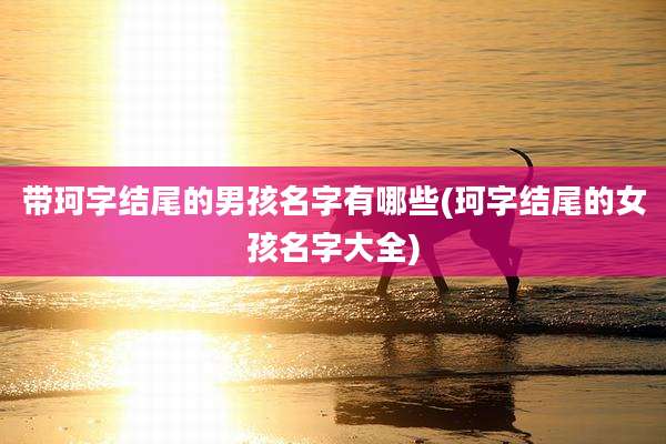带珂字结尾的男孩名字有哪些(珂字结尾的女孩名字大全)