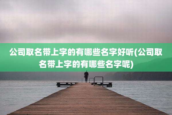 公司取名带上字的有哪些名字好听(公司取名带上字的有哪些名字呢)