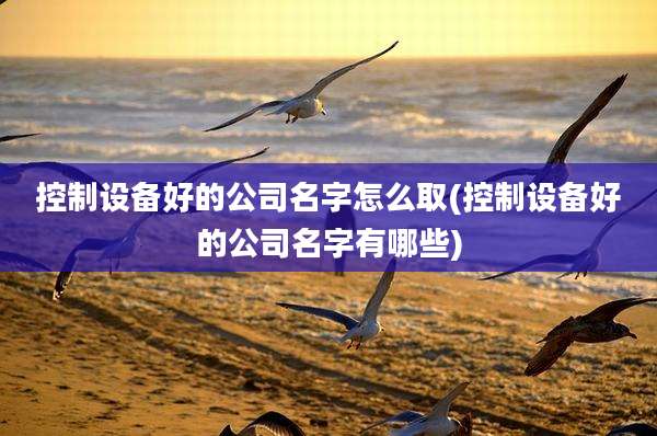 控制设备好的公司名字怎么取(控制设备好的公司名字有哪些)