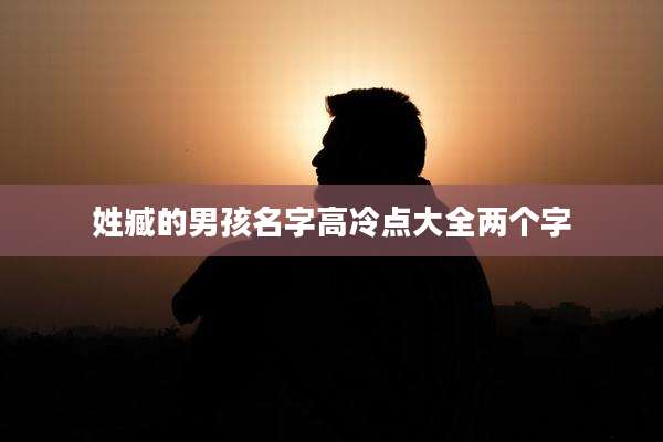 姓臧的男孩名字高冷点大全两个字