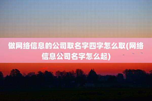 做网络信息的公司取名字四字怎么取(网络信息公司名字怎么起)