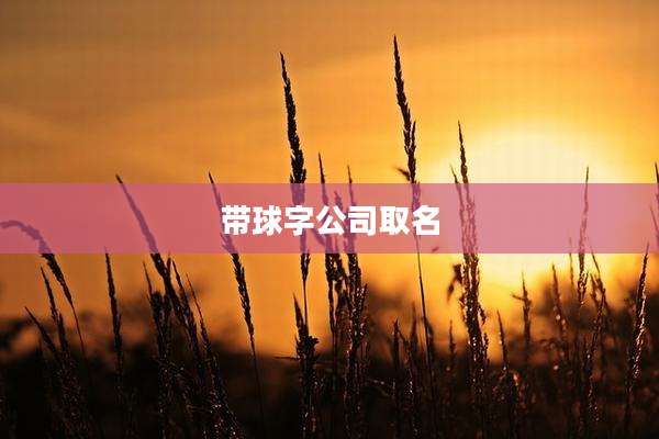 带球字公司取名