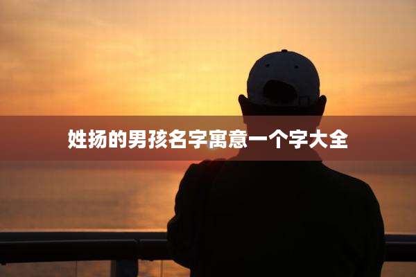 姓扬的男孩名字寓意一个字大全