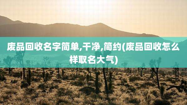 废品回收名字简单,干净,简约(废品回收怎么样取名大气)