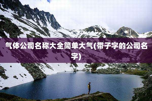 气体公司名称大全简单大气(带子字的公司名字)