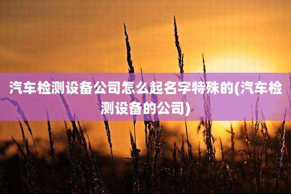 汽车检测设备公司怎么起名字特殊的(汽车检测设备的公司)