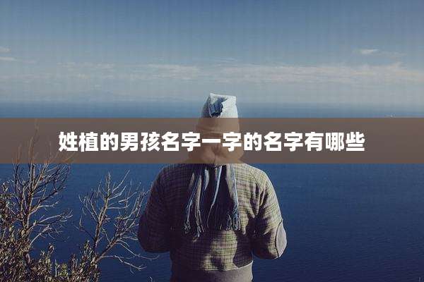 姓植的男孩名字一字的名字有哪些