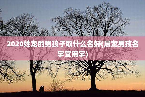 2020姓龙的男孩子取什么名好(属龙男孩名字宜用字)