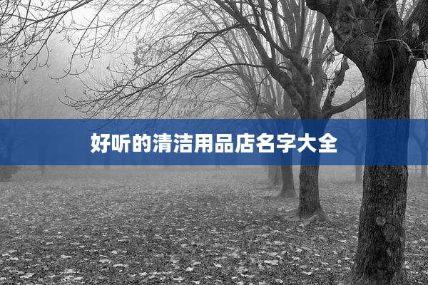 好听的清洁用品店名字大全
