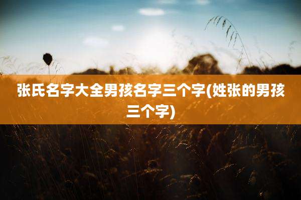 张氏名字大全男孩名字三个字(姓张的男孩三个字)