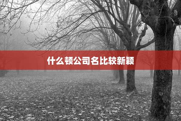 什么顿公司名比较新颖
