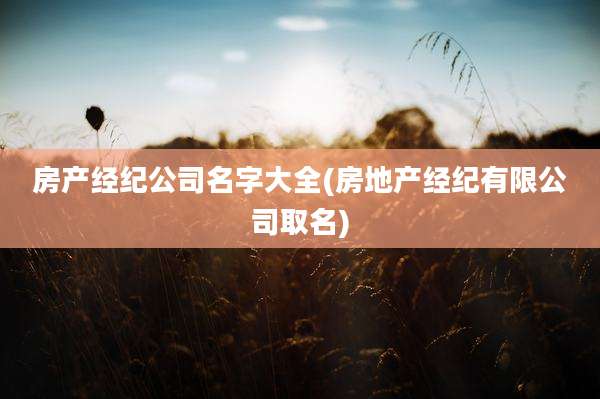 房产经纪公司名字大全(房地产经纪有限公司取名)