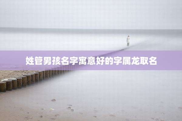 姓管男孩名字寓意好的字属龙取名