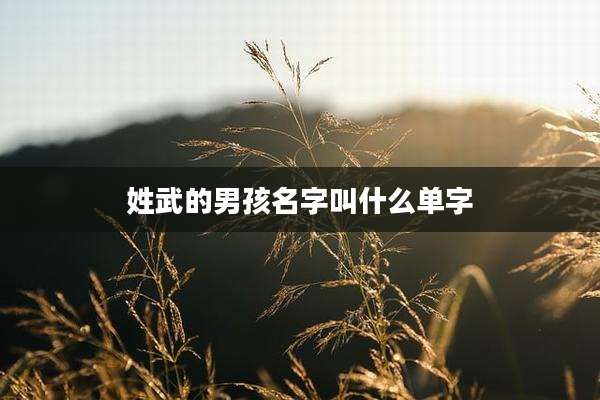 姓武的男孩名字叫什么单字