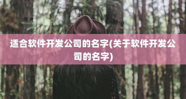 适合软件开发公司的名字(关于软件开发公司的名字)