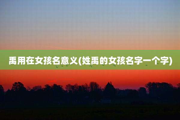 禹用在女孩名意义(姓禹的女孩名字一个字)