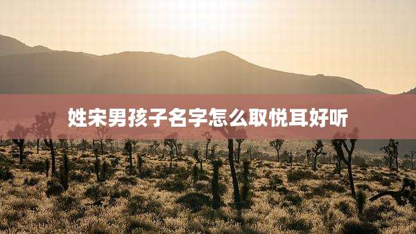 姓宋男孩子名字怎么取悦耳好听