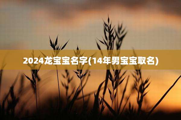 2024龙宝宝名字(14年男宝宝取名)
