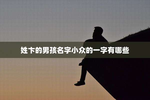 姓卞的男孩名字小众的一字有哪些