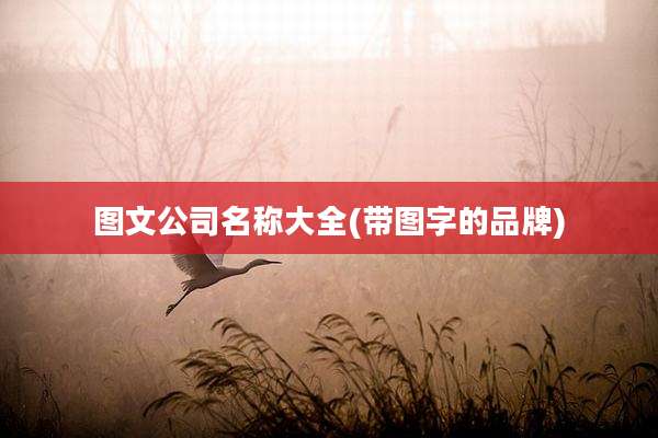 图文公司名称大全(带图字的品牌)