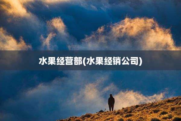 水果经营部(水果经销公司)