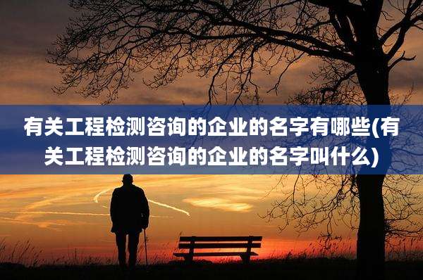 有关工程检测咨询的企业的名字有哪些(有关工程检测咨询的企业的名字叫什么)