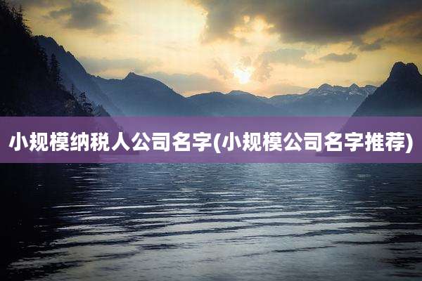 小规模纳税人公司名字(小规模公司名字推荐)