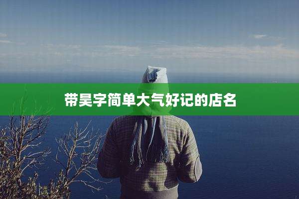 带昊字简单大气好记的店名