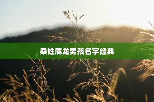 桑姓属龙男孩名字经典