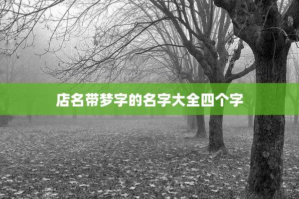 店名带梦字的名字大全四个字