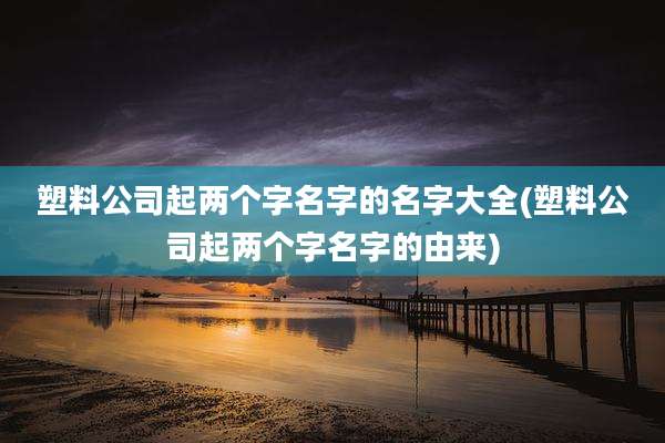 塑料公司起两个字名字的名字大全(塑料公司起两个字名字的由来)