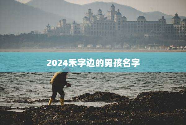 2024禾字边的男孩名字