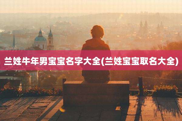 兰姓牛年男宝宝名字大全(兰姓宝宝取名大全)