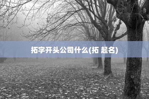 拓字开头公司什么(拓 起名)