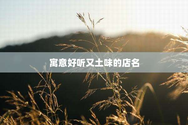 寓意好听又土味的店名