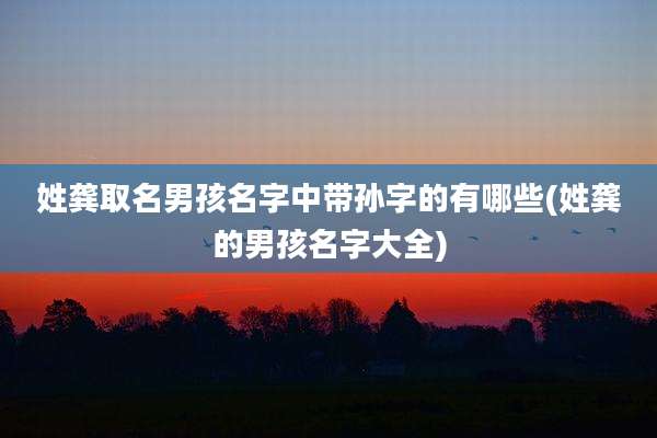 姓龚取名男孩名字中带孙字的有哪些(姓龚的男孩名字大全)