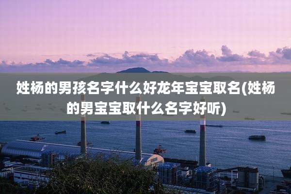 姓杨的男孩名字什么好龙年宝宝取名(姓杨的男宝宝取什么名字好听)